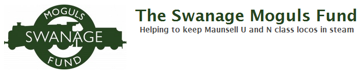 The Swanage Moguls Fund